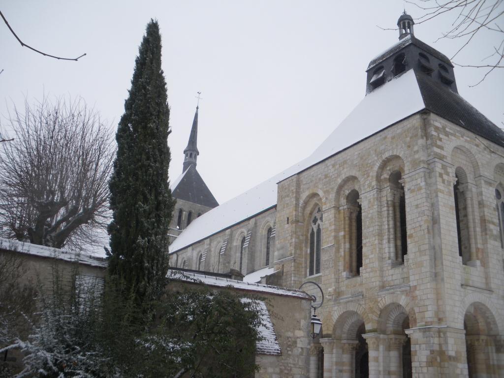 Отель La Madeleine Saint-Benoit-sur-Loire Экстерьер фото